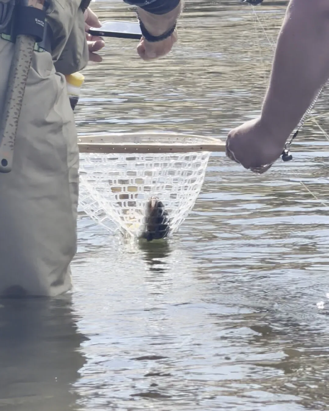 A guide reaching with a landing net for a client’s trout
