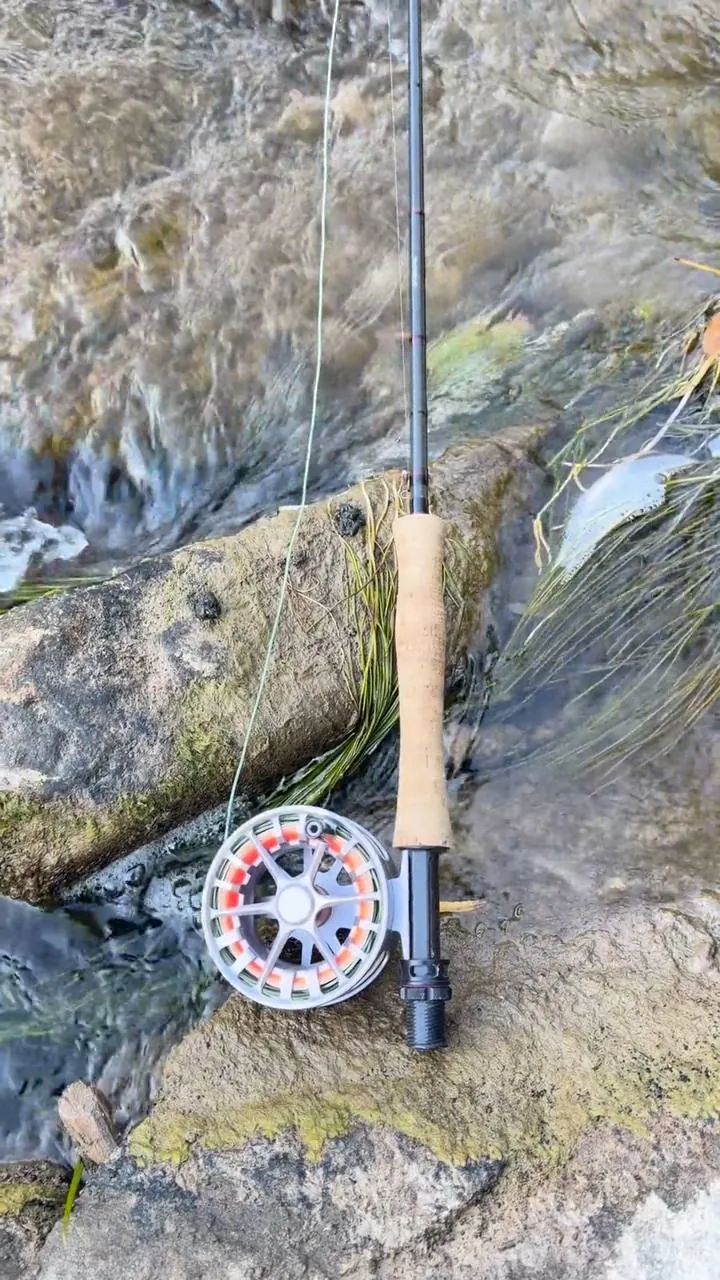 A fly rod and reel resting on a mossy rock