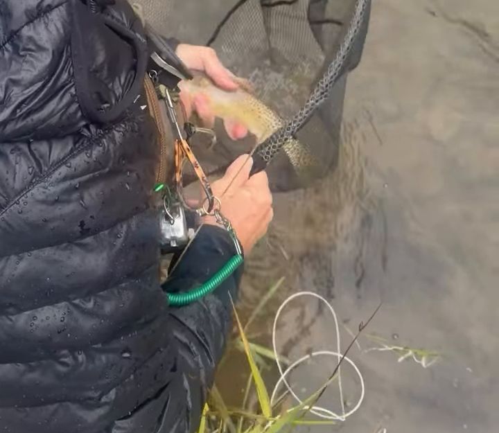 An angler unhooking a trout in a landing net
