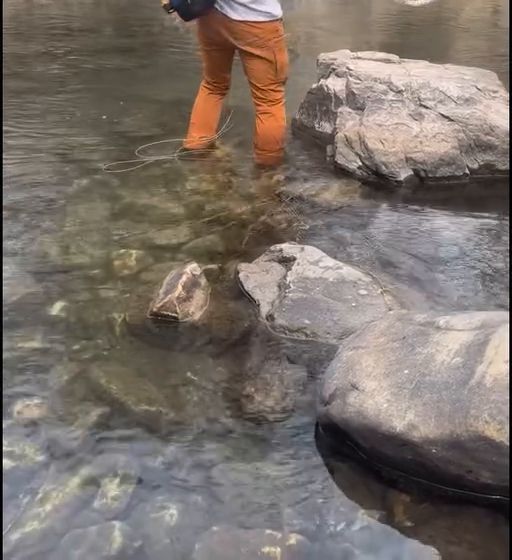 Wading a clear, rocky stream